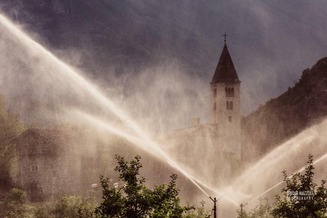 Aosta Quality Apartments エクステリア 写真